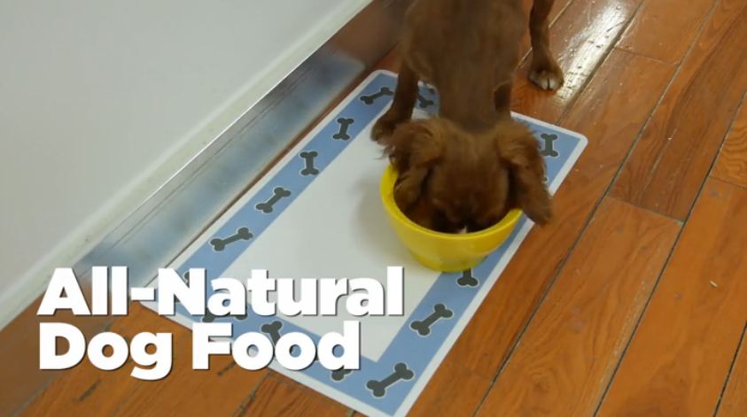 How To Make Your Own All-Natural Dog Food In A Crock-Pot