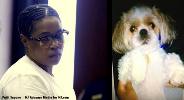 Woman Sentenced to Four Years in Prison for Dog’s Murder