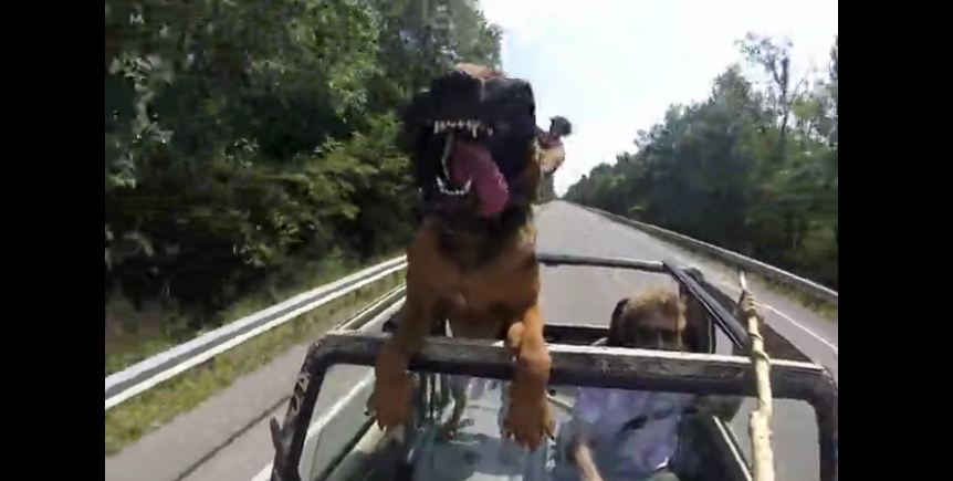 Dog Takes A Car Ride