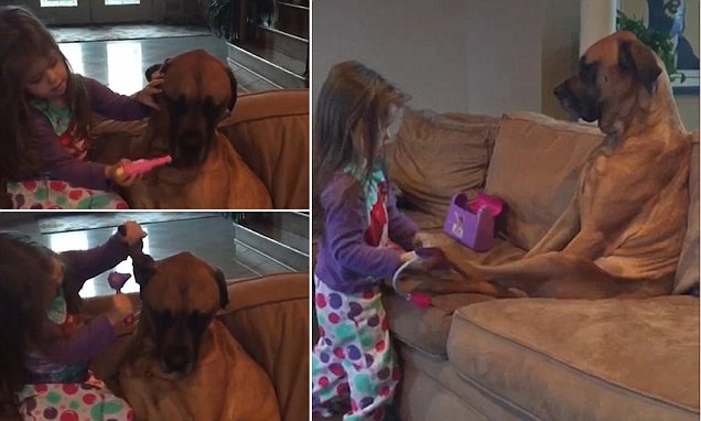 Little Girl Performs An Adorable Check-Up On Her Very Patient Dog