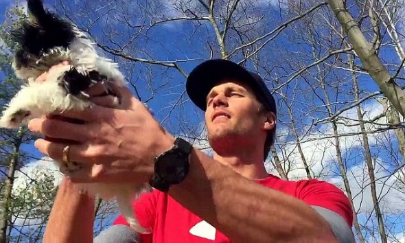 Tom Brady Goes All Lion King with His New Rescue Dog