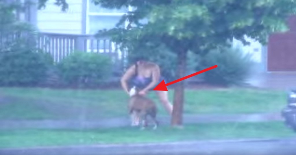 Thank God For This Woman! Watch Her Rescue A Dog Tied To A Tree During A Bad Storm!