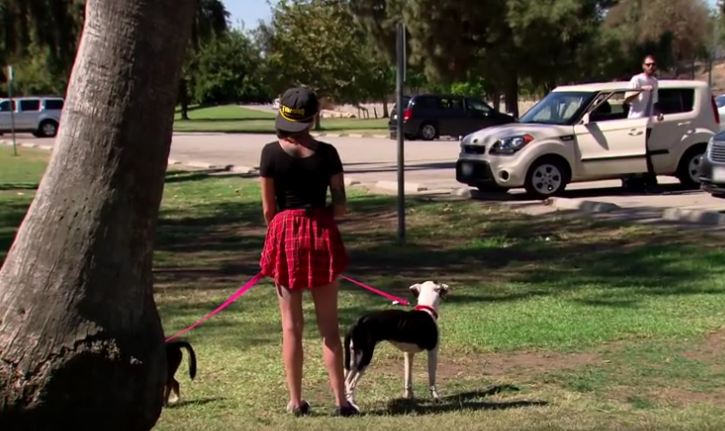 Shelter Reunites A War Veteran With His Two Beloved Dogs