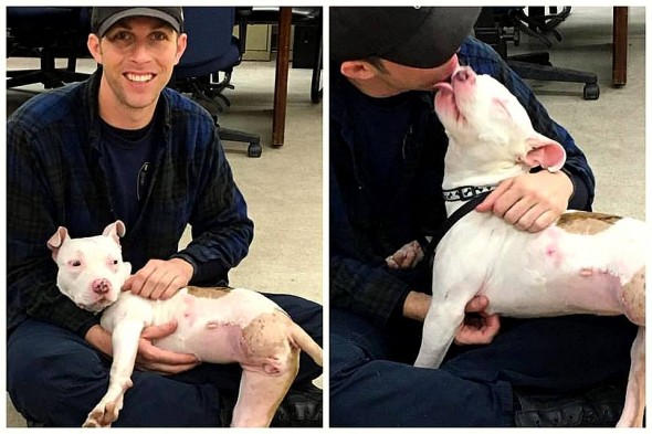 Dog Run Over by Train Adopted by Officer Who Saved Her