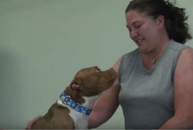 A Deaf Dog In The Shelter Finds Her Forever Home With Someone Who Understands Her Language.
