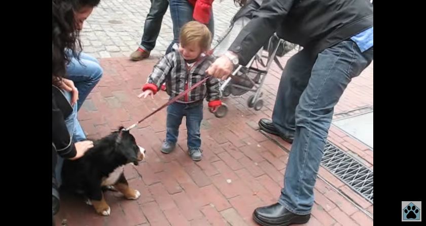 Wife Surprises Soldier Husband With The Homecoming Puppy Of His Dreams