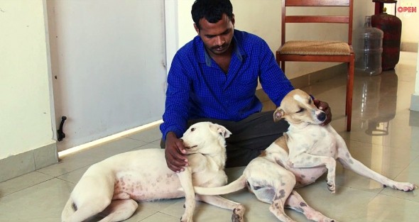 Man Saves Money for 10 Years to Buy a Stray Dog Ambulance