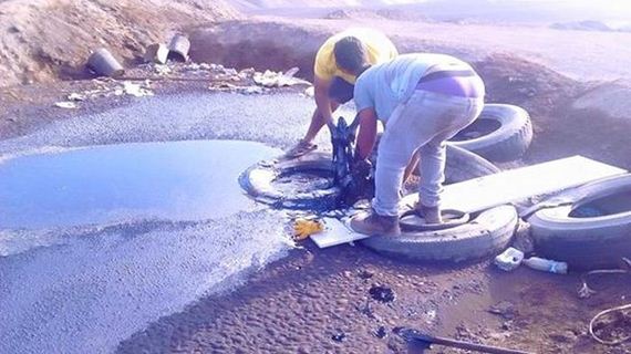 Dog Survives After Being Rescued From A Tar Pit