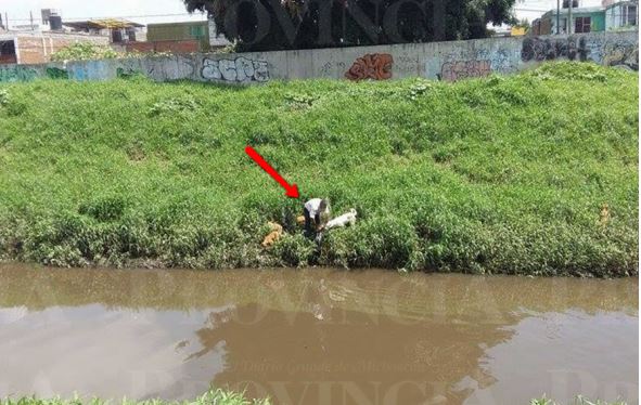 Man Saves Dog Drowning in Rio Grande