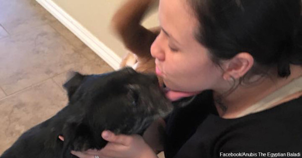 Tortured And Mutilated In Egypt, Annubis The Stray Dog Finds Loving Family In Texas