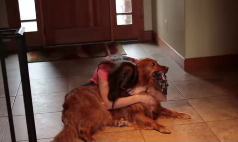 Watch: 14-Year-Old Girl Invents AWESOME Device to Help Her Dog Deal with Loneliness