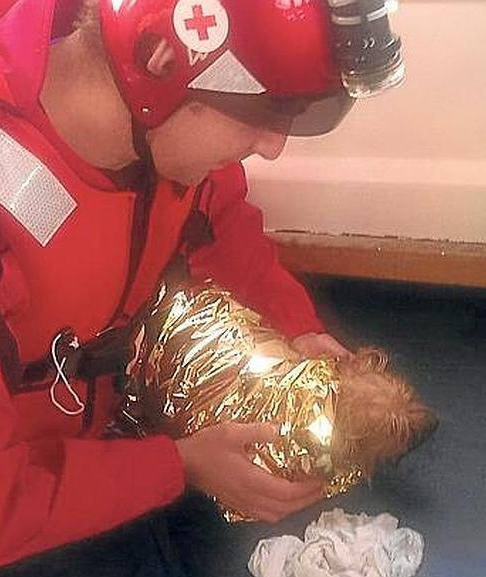 Red Cross Rescues Dog Stranded in Port