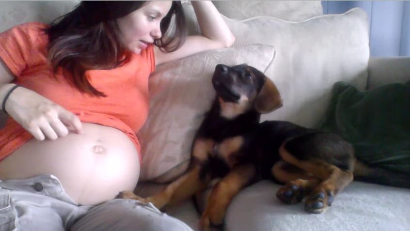 She Broke The News To Her Puppy About Having A Baby Sister. Watch How The Dog Reacts.