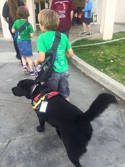 dogs3