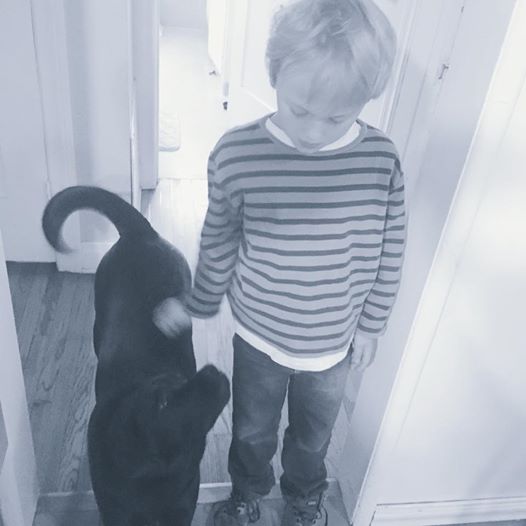 dogs4