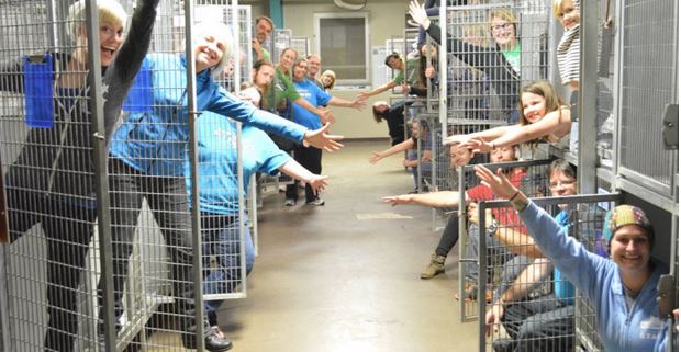 Happiest Shelter Photo Shows No Dogs At All