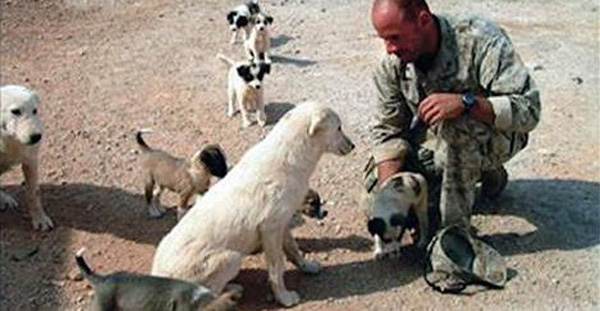 Marine Says Goodbye To A Stray Dog. 2 Days Later, He Never Expects THIS!