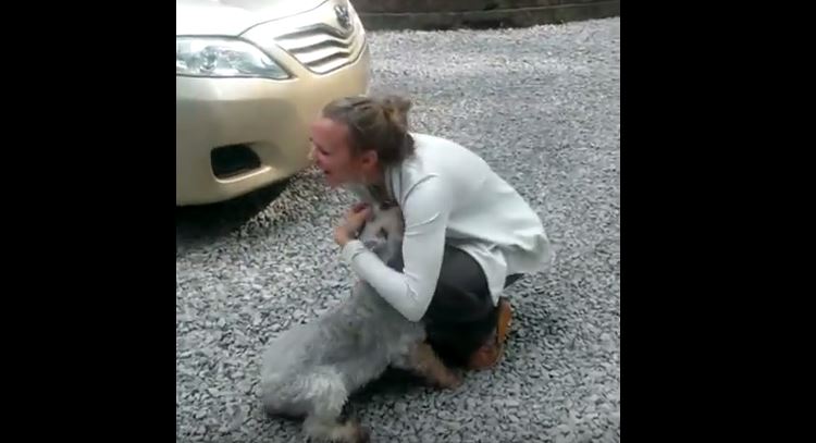Dog Reunites With Her Owner After 2 Years and Has the Most Adorable Reaction Ever