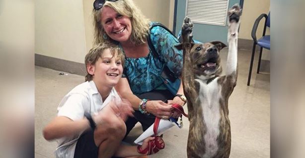 Shelter Dog CANNOT Contain Her Excitement About Getting Adopted