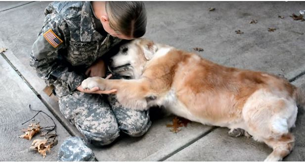 This Soldier Had to Leave Her Senior Dog Behind. Now Watch the Pup’s Reaction When Mommy Returns.