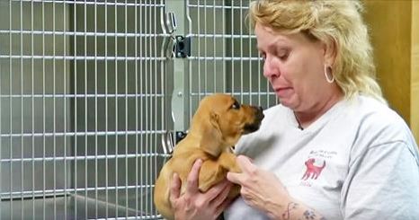 She gave up everything to rescue this poor baby, then she looks into his eyes and realizes this…