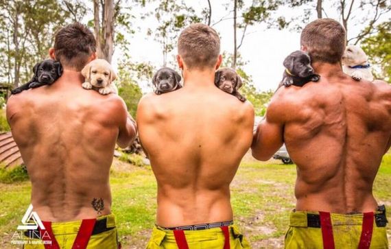 Australian Firefighters Make Charity Calendar with Adoptable Rescue Puppies