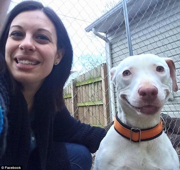 Abandoned Dog Hasn’t Stopped Smiling Since He Was Rescued