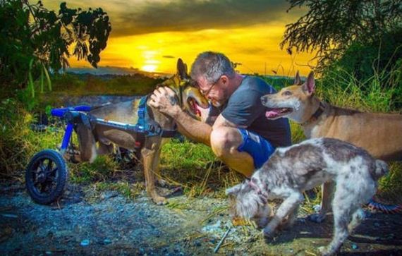 Every Single Day This Man Feeds 80 Stray Dogs In Thailand