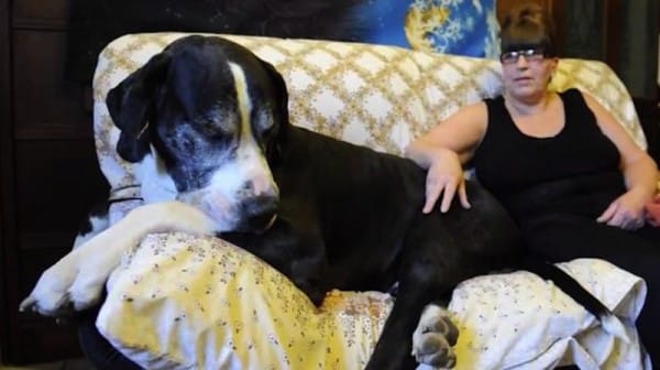 Mom Adopts A ‘Normal’ Puppy, But When Her Husband Sees The Truth? He’s FLOORED!