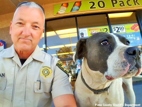 Deputy Rescues Lost Dog and Takes the Cutest Selfies