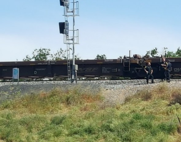 Man Gives Life to Save Dog from Oncoming Train