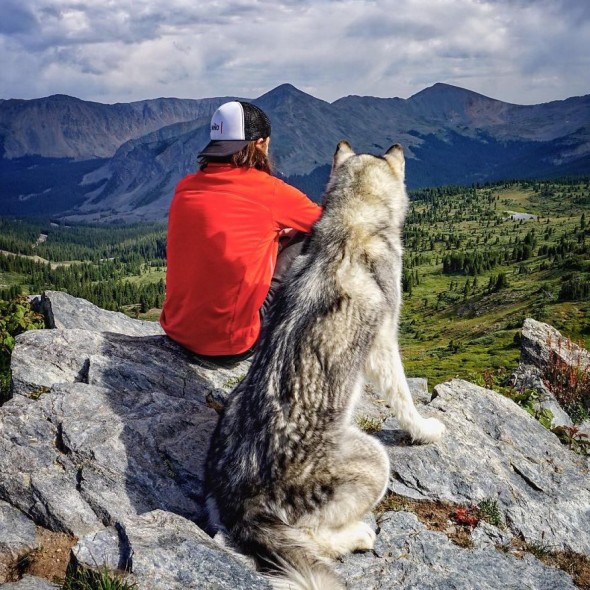 I Take My Wolfdog on Epic Adventures Because I Hate to See Dogs Locked Away