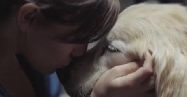 If Your Dog Is Your Best Friend, This Video Will Hit Close To Home