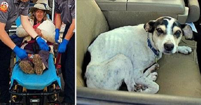Dog Helps Save Elderly Woman Lost in Arizona for Nine Days