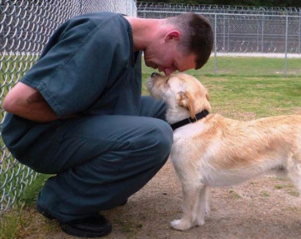 Teen Inmates Connect With Rescue Dog