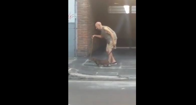 Patient Dog Walks Slowly So His Elderly Human Can Keep Up With Him