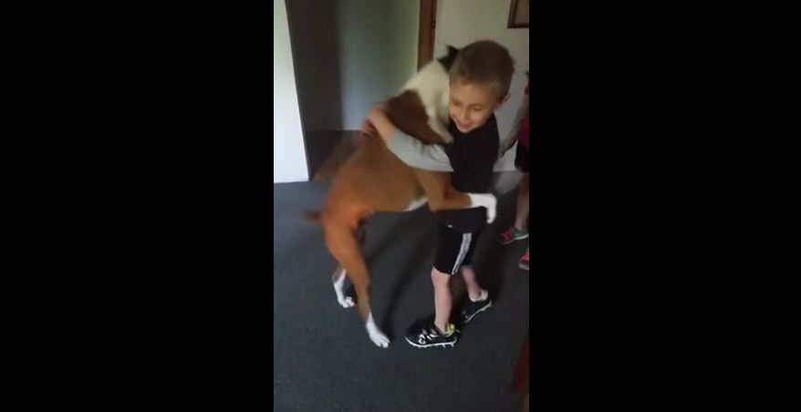 Dog learns to give hugs on command