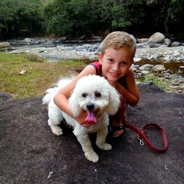 dogs3
