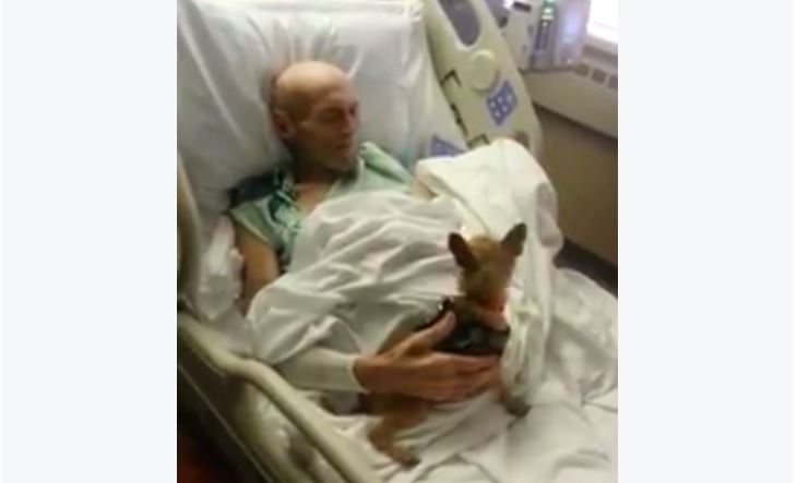 A Hospital Bent Their Rules To Grant A Dying Man’s Last Wish To See His Dog, And Nobody Expected What Happened Next!