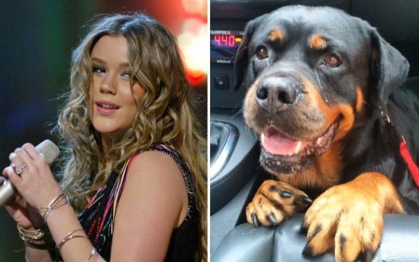 Joss Stone Postpones Tour, Rushes Home to Comfort Sick Dog