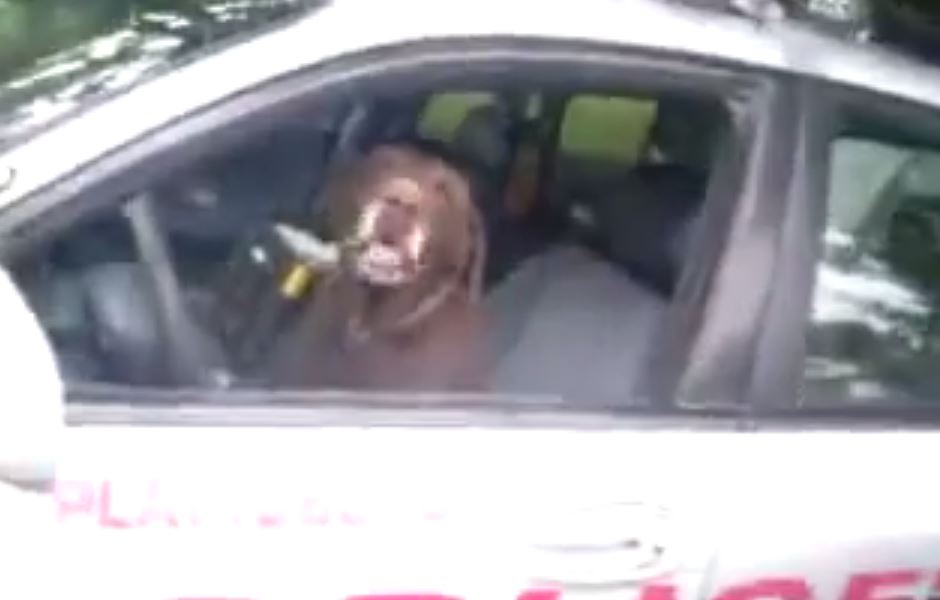 Policeman rescues dog stuck in a fence… what happens next is amazing