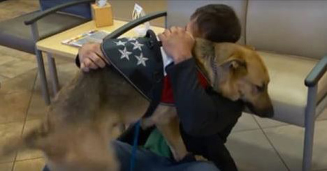 Touching Reunion: Marine Veteran Finds Missing Service Dog