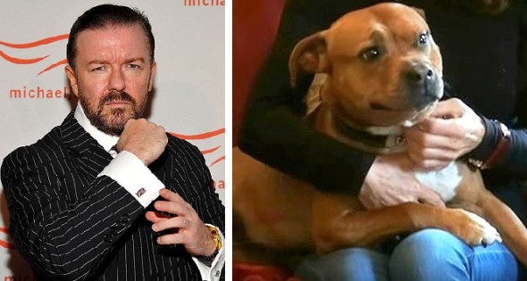 Ricky Gervais Slams “Psychopath” Dog Fighters