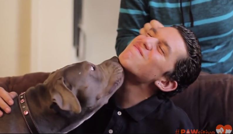 Autistic Boy Finds The Meaning of Love Through Pit Bull