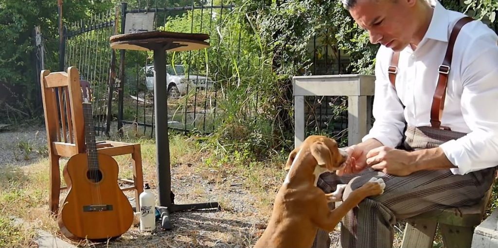 While Shooting This Video, A Homeless Dog Comes On Set And Literally Adopts The Singer!