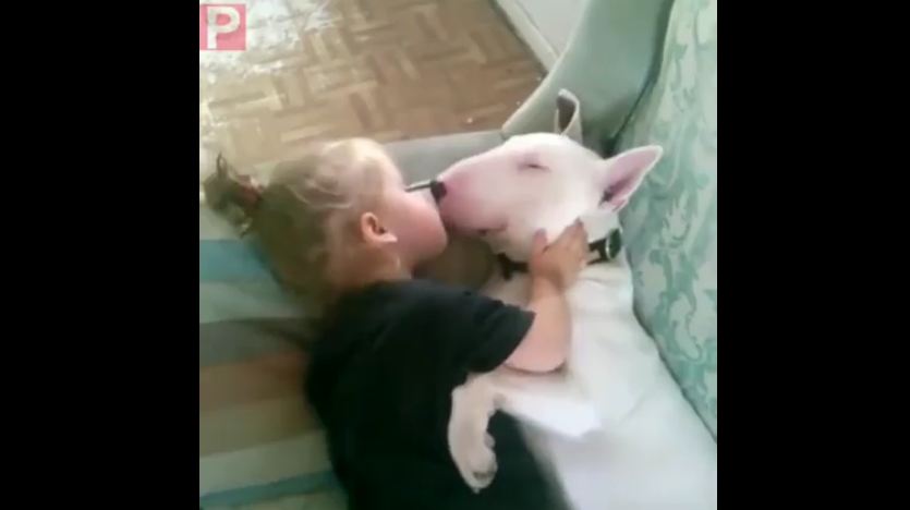 Dog And Little Girl Snuggle Up Together In The Cutest Way Possible