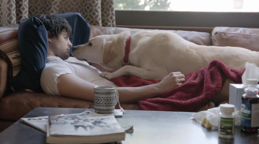 Budweiser’s PSA Uses The Power Of A Puppy’s Love To Stop Drinking And Driving