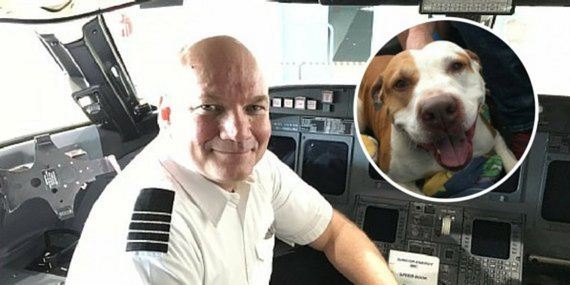 Canadian Pilot Breaks the Rules to Fly Pets to Safety During Wildfire