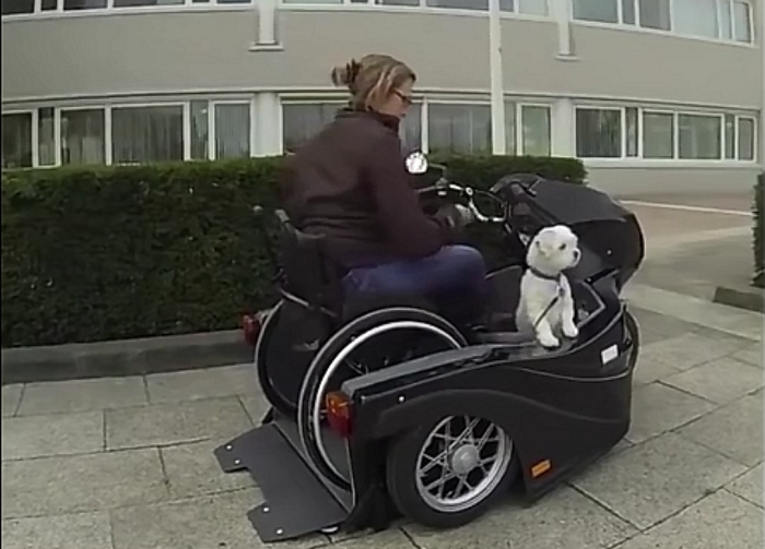 Watch This Woman Cruise In Her Wheelchair-Accessible Motorcycle With Her Dog!