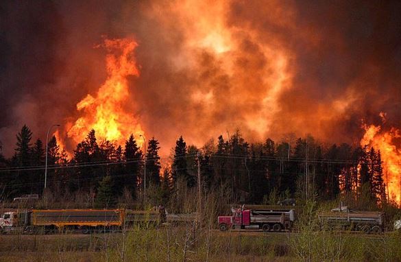 Heroic Man Breaks Down Doors to Save Dog Trapped in Massive Fort McMurray Wildfire